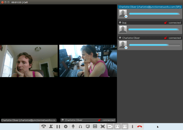 Jitsi Desktop for Ubuntu review Jitsi Desktop for Ubuntu review